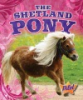 The_shetland_pony