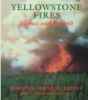 Yellowstone_fires