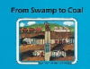 From_swamp_to_coal