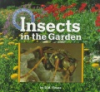 Insects_in_the_garden
