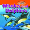 I_love_whales___dolphins