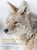 Yellowstone_wildlife