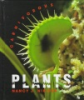 Carnivorous_plants
