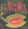 Venus_flytraps_eat_bugs_