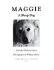 Maggie__a_sheep_dog