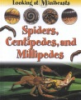 Spiders__centipedes_and_millipedes