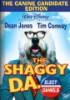 The_shaggy_D_A