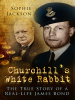 Churchill_s_White_Rabbit