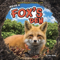 Inside_a_fox_s_den