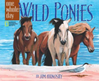 Wild_ponies