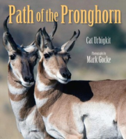 Path_of_the_pronghorn