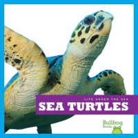 Sea_turtles