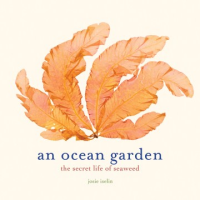 An_ocean_garden