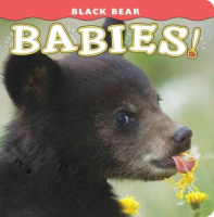 Black_bear_babies