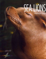 Sea_lions