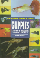 Guppies
