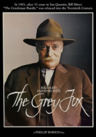 The_grey_fox
