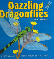 Dazzling_dragonflies