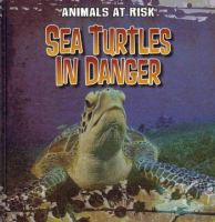 Sea_turtles_in_danger