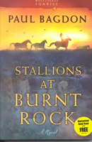 Stallions_at_Burnt_Rock