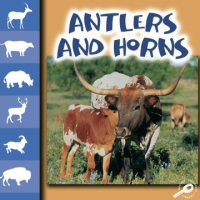Antlers_and_horns