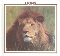 The_lion