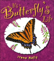 It_s_a_butterfly_s_life