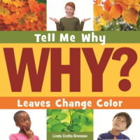 Why_leaves_change_color