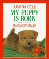 My_puppy_is_born