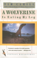 A_wolverine_is_eating_my_leg