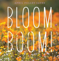 Bloom_boom_