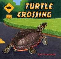 Turtle_crossing