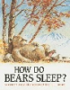 How_do_bears_sleep_