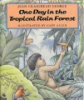 One_day_in_the_tropical_rain_forest