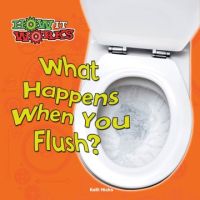 What_happens_when_you_flush_
